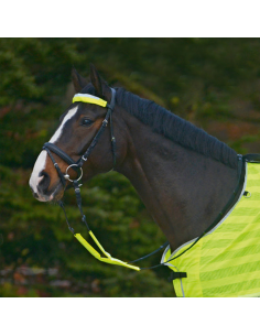 Waldhausen Reflex Bridle-Set Silver Grey 2