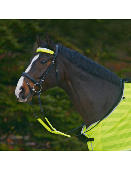 Waldhausen Reflex Bridle-Set Neon Yellow