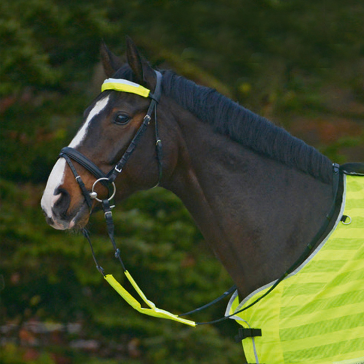 Waldhausen Reflex Bridle-Set Neon Yellow