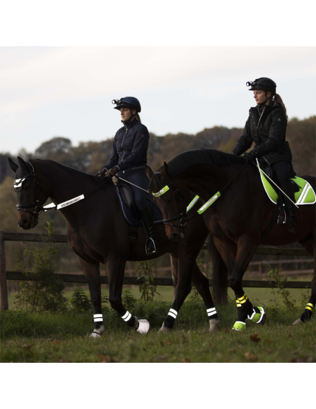 Waldhausen Reflex Bridle-Set