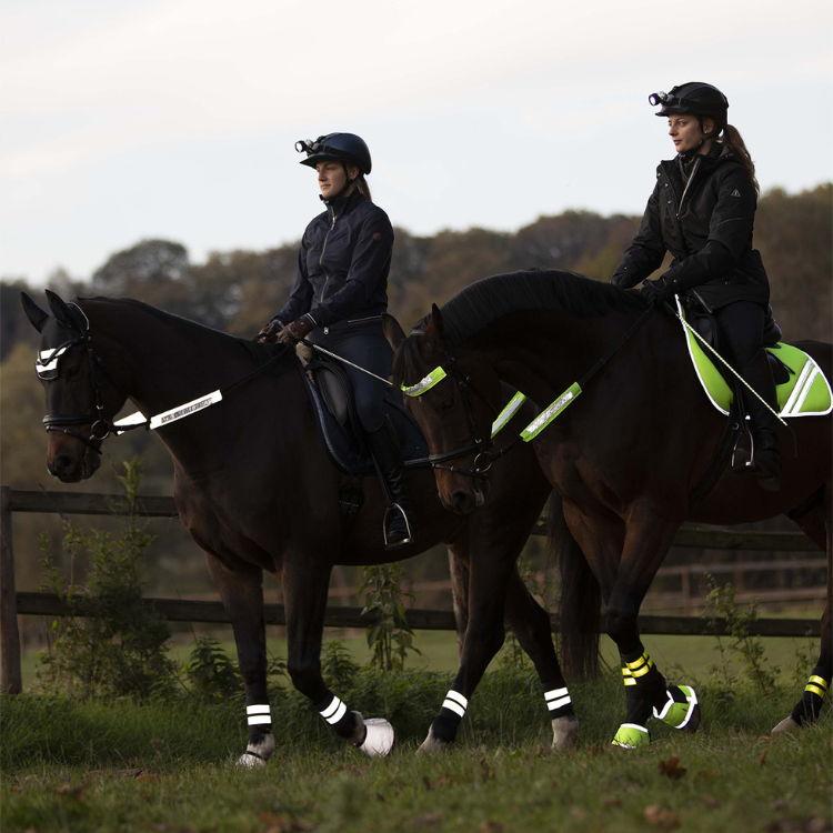 Waldhausen Reflex Bridle-Set