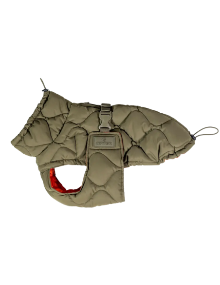 Manteau D'Hiver Kentucky Pour Chien Pina VERT FORET