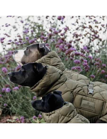 Manteau D'Hiver Kentucky Pour Chien Pina VERT FORET