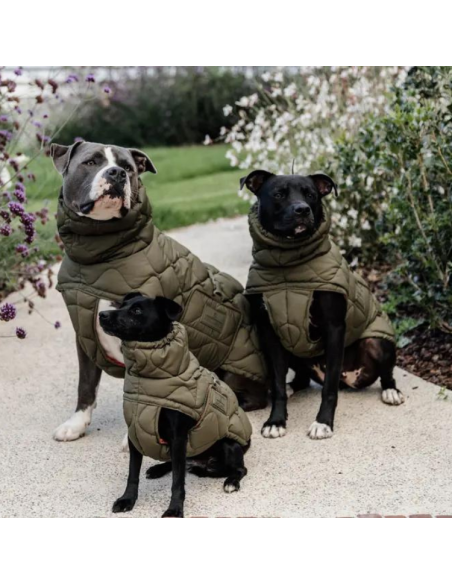 Manteau D'Hiver Kentucky Pour Chien Pina VERT FORET