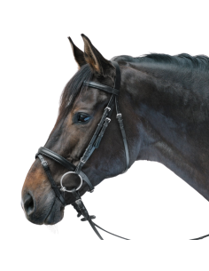 Bridon Waldhausen Lifestyle Star NOIR