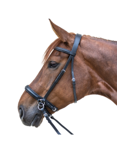 Bridon Waldhausen Sans Mors Star