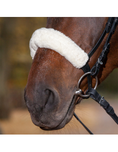 Protection De Chanfrein Ou De Nuque Waldhausen