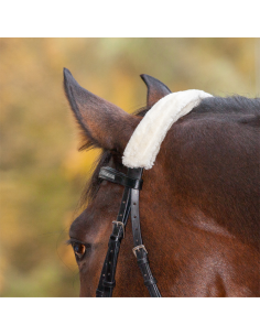Protection De Chanfrein Ou De Nuque Waldhausen 2