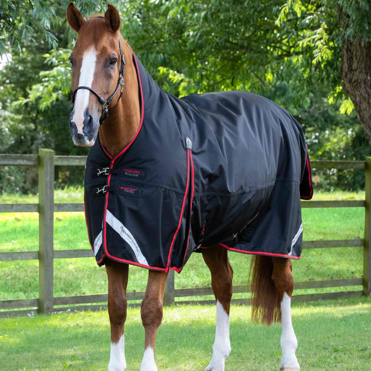 Couverture Premier Equine Buster Hardy 400g Avec Demi Cou Noir