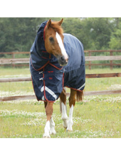 Couverture Premier Equine Titan 450g Avec Couvre Cou Noir 2
