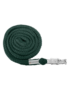 Longe Waldhausen Economic 2