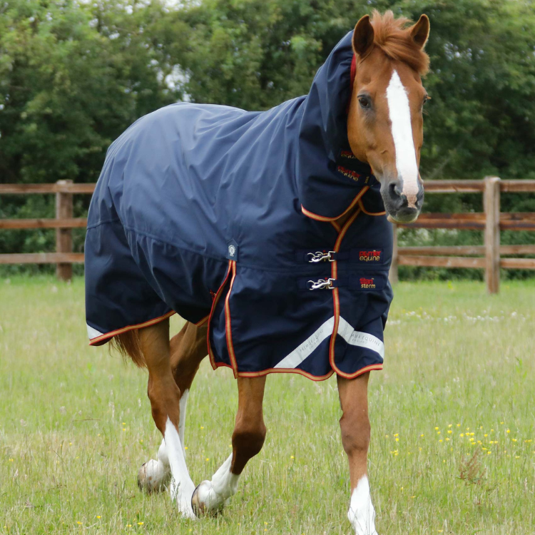 SUNRIDE Couverture D'hiver Pour Cheval 250g (Helsinki) - Réfléchissante, 1200D Ripstop - Partie Couvrant Le Cou En Option - Peut être Combinée Avec