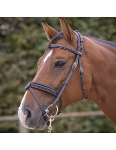 Bridon Penelope "Elégance" Havane