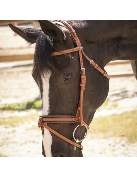 Bridon Penelope "Elégance" Cognac