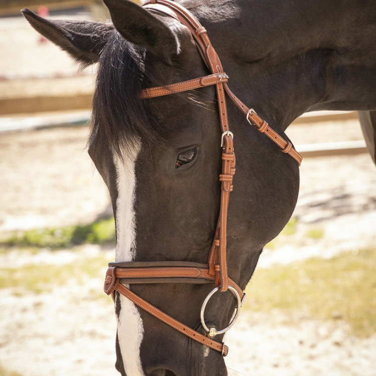 Bridon Penelope "Elégance" Cognac