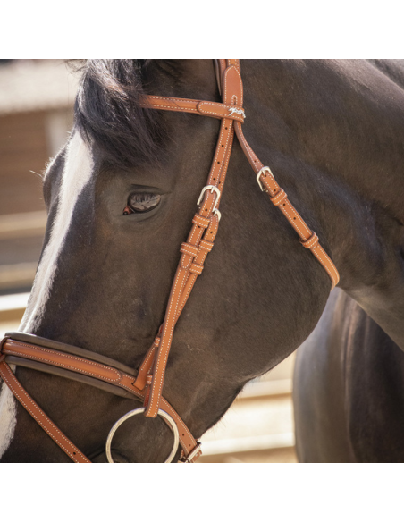 Bridon Penelope "Elégance" Cognac