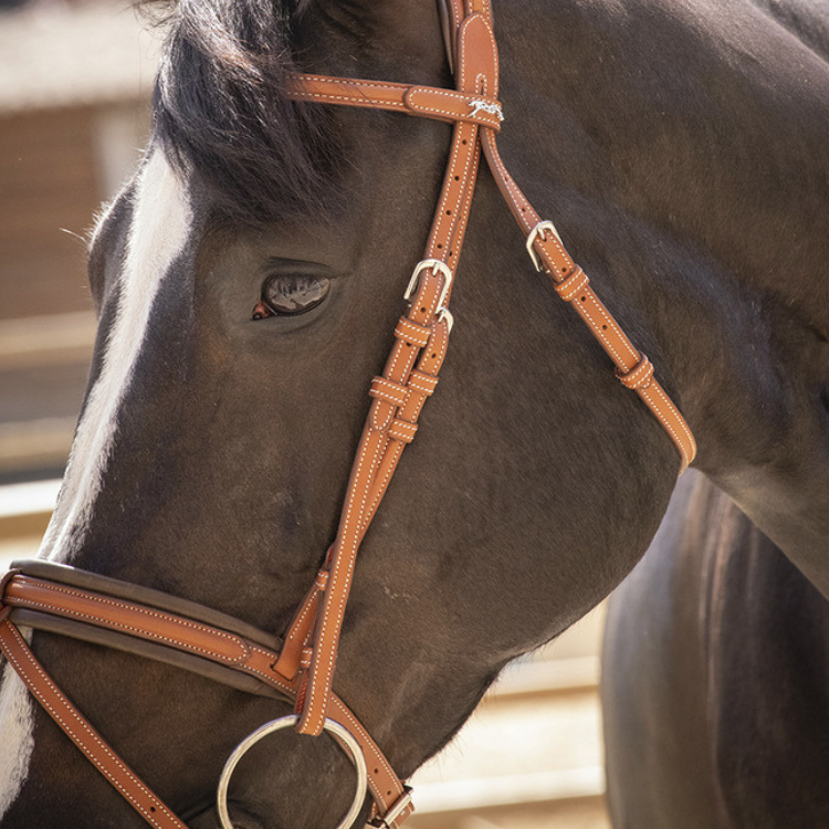 Bridon Penelope "Elégance" Cognac