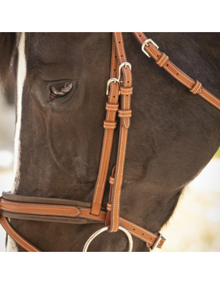 Bridon Penelope "Elégance" Cognac
