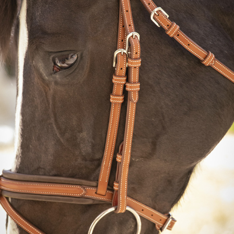 Bridon Penelope "Elégance" Cognac