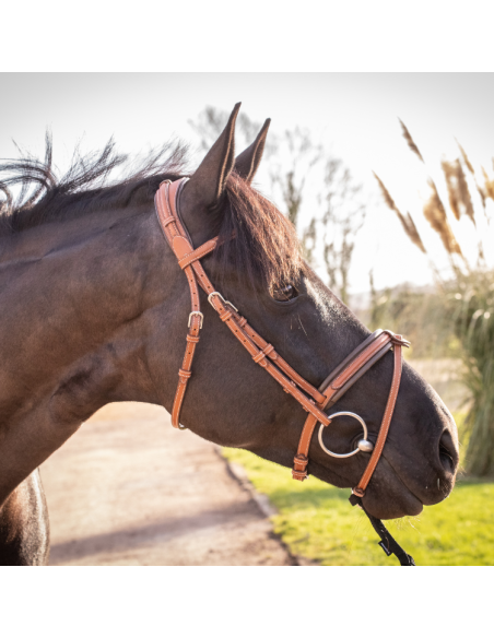 Bridon Penelope "Elégance" Cognac