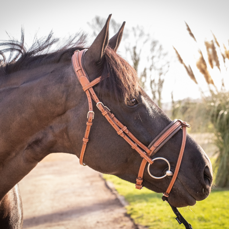 Bridon Penelope "Elégance" Cognac