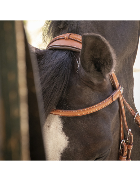 Bridon Penelope "Elégance" Cognac