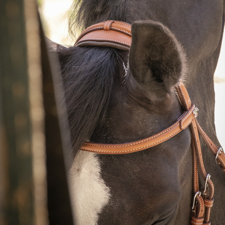 Bridon Penelope "Elégance" Cognac