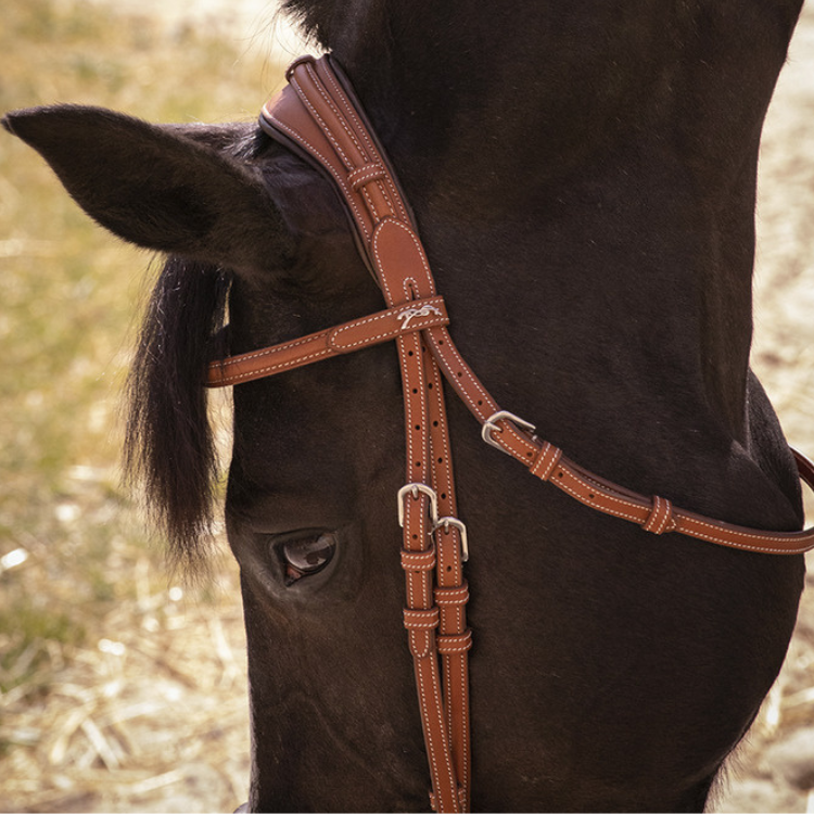 Bridon Penelope "Elégance" Cognac