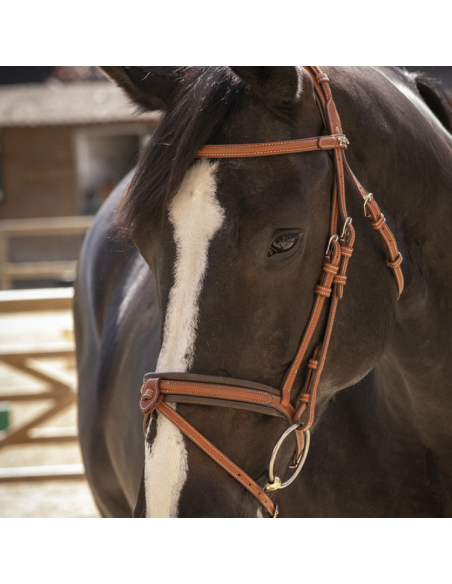 Bridon Penelope "Elégance" Cognac