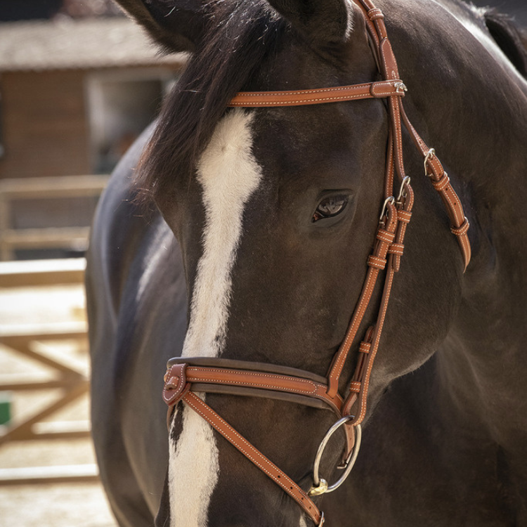 Bridon Penelope "Elégance" Cognac