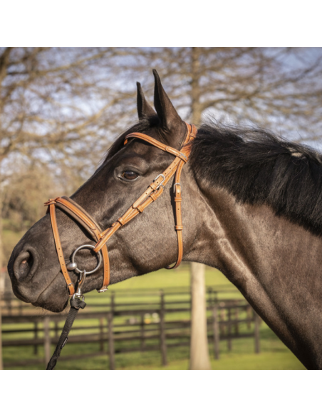 Bridon Penelope "Elégance" Cognac