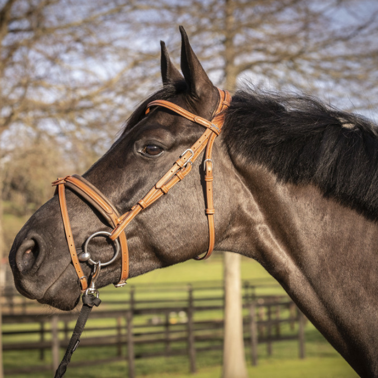 Bridon Penelope "Elégance" Cognac