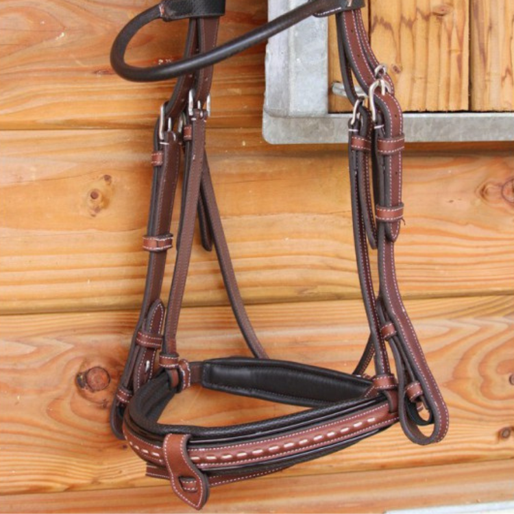 Bridon Penelope "Luxe" Havane