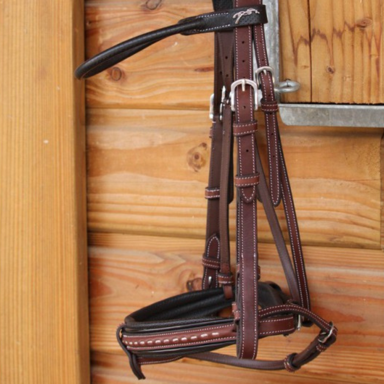 Bridon Penelope "Luxe" Havane