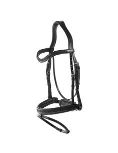 Bridle Dy'on...