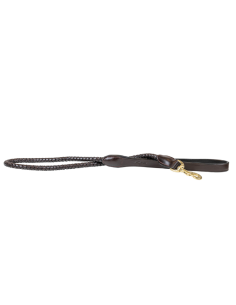 Laisse Pour Chien Dy'on Tressée noir 2