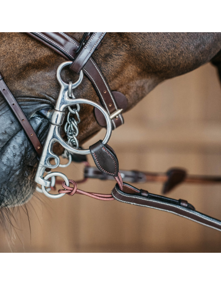 Alliances De Pelham Dy'on Longues brun