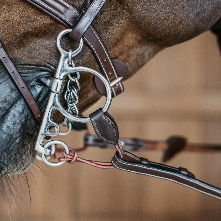 Alliances De Pelham Dy'on Longues brun