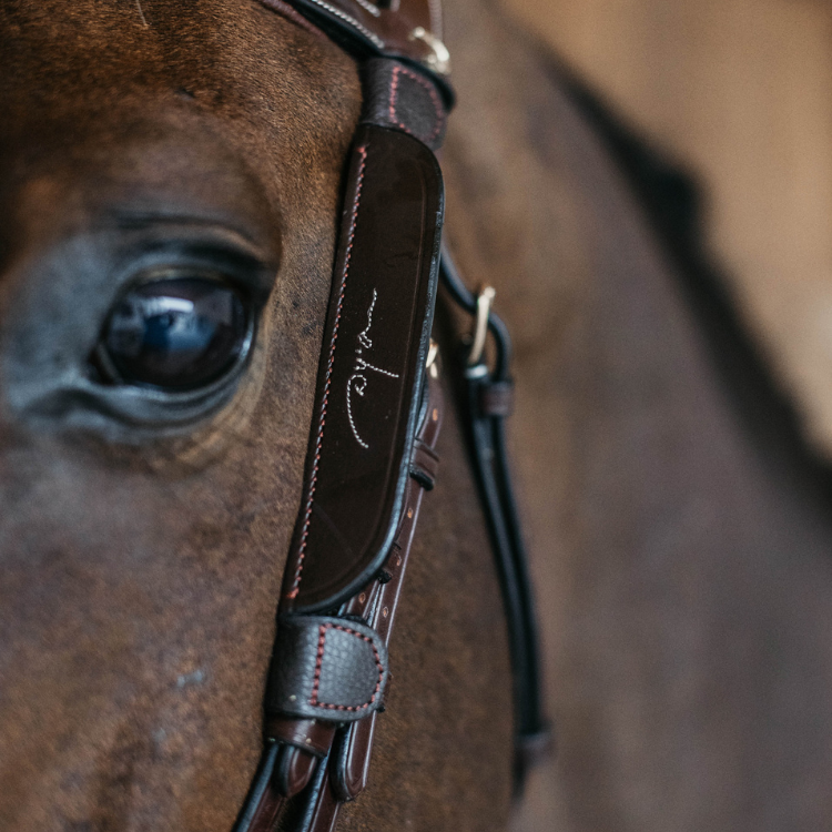 Montants Focus Dy'on Avec Surpiqure NEC/La Cense brun