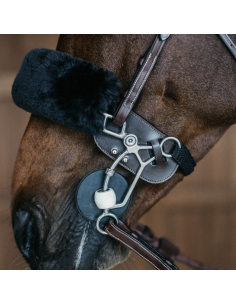 Protection D'Hackamore Dy'on NEC/La Cense brun 2