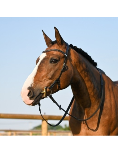 Jump'In One Liberty Bridle Black