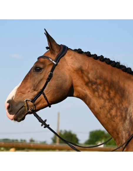 Bridon Jump'In One Liberty Noir