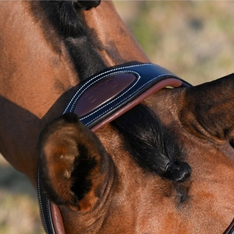 Bridon Jump'In One Liberty Noir