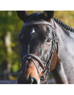 Bridon Jump'In One Carat Havane 2