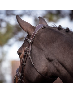 Bridon Jump'In Week Wednesday Havane 2