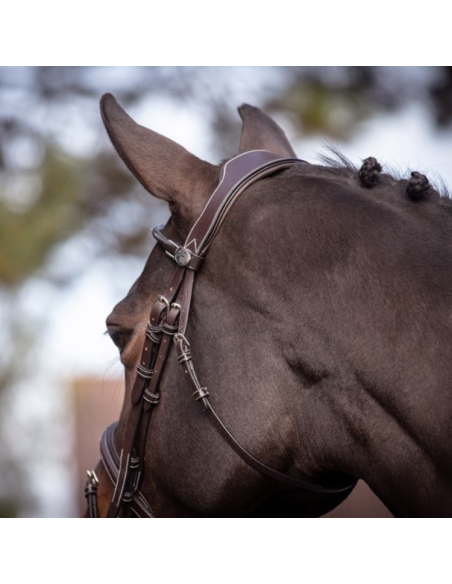 Bridon Jump'In Week Wednesday Havane