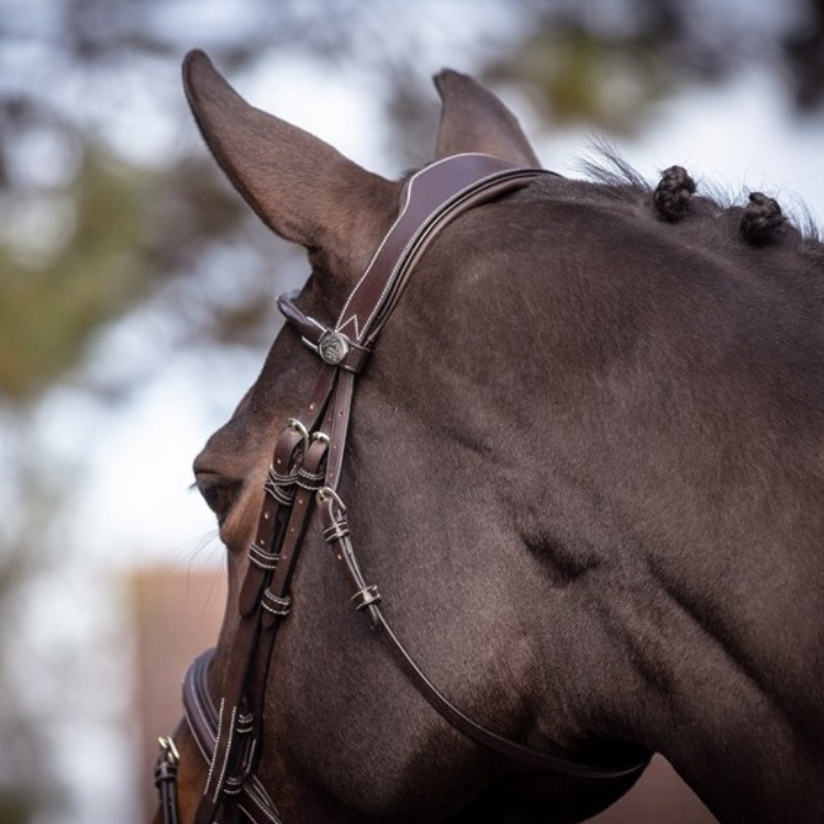 Bridon Jump'In Week Wednesday Havane