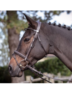 Bridon Jump'In Week Wednesday Havane