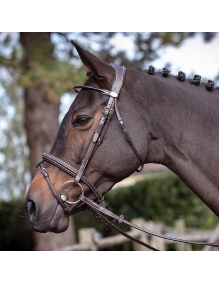 Bridon Jump'In Week Wednesday Havane