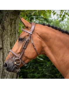 Bridon Jump'In One Paris Havane